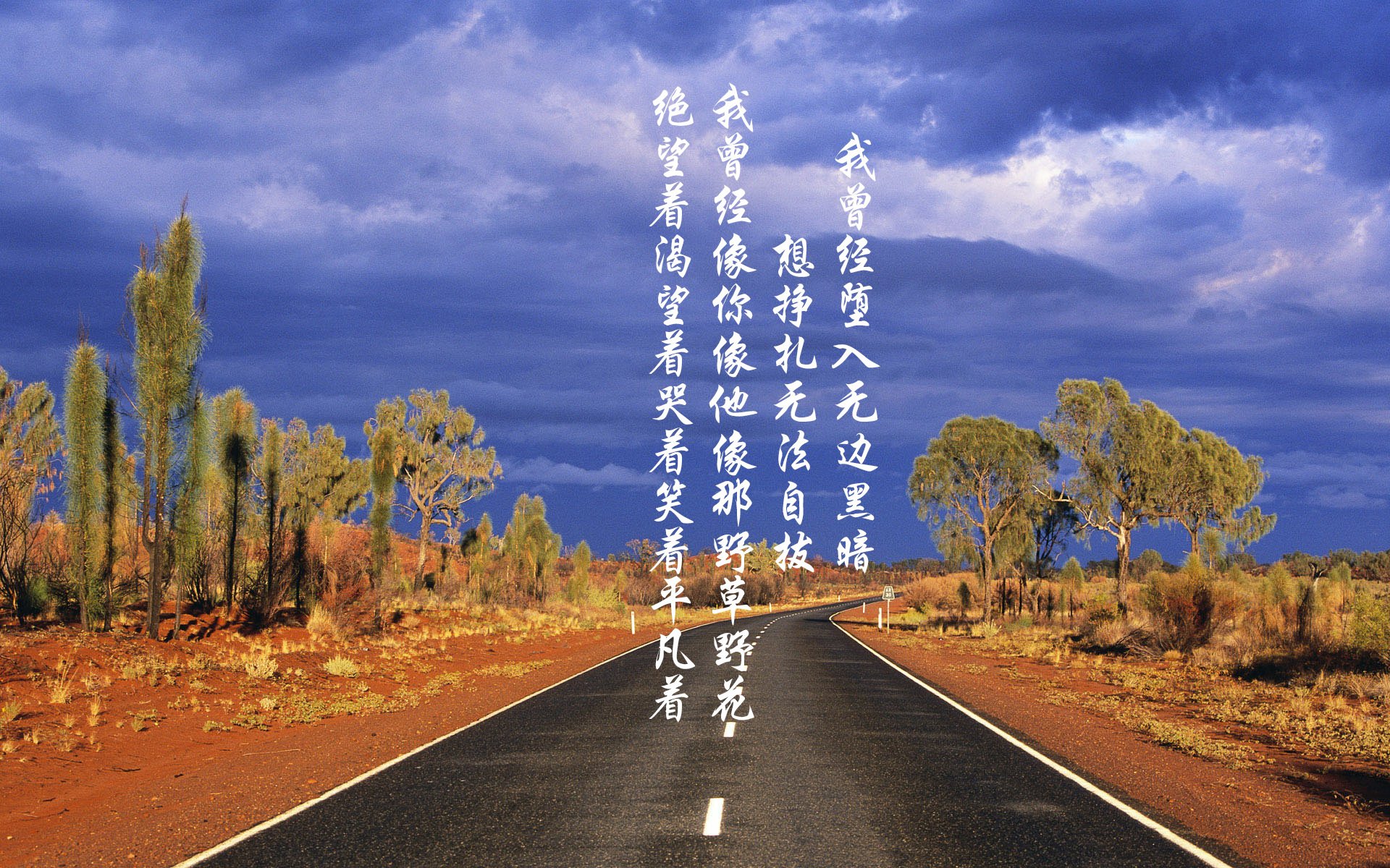 Cole Palmer决赛梅开二度引领胜利，总决赛梅奥