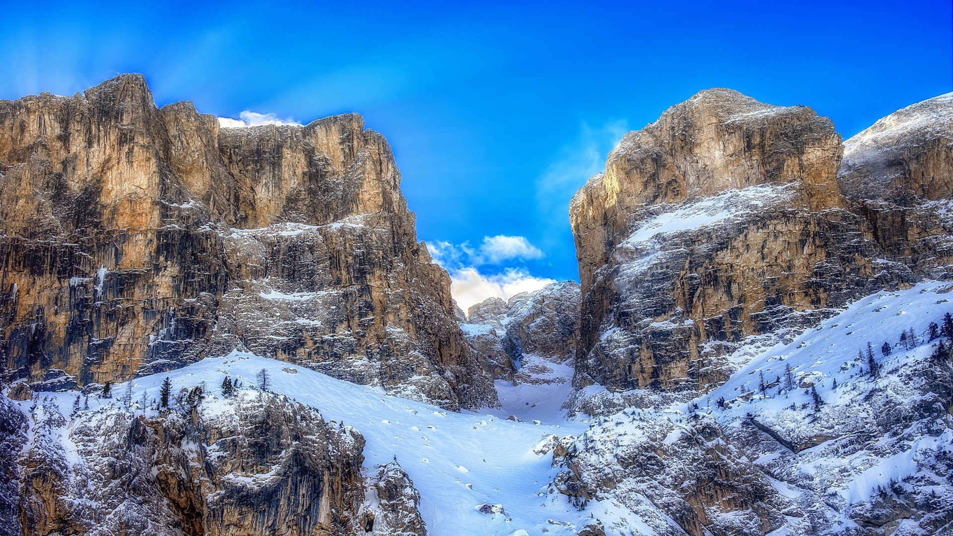 波兰乒乓队未来发展:加强国际合作与技术交流,波兰乒乓球联赛