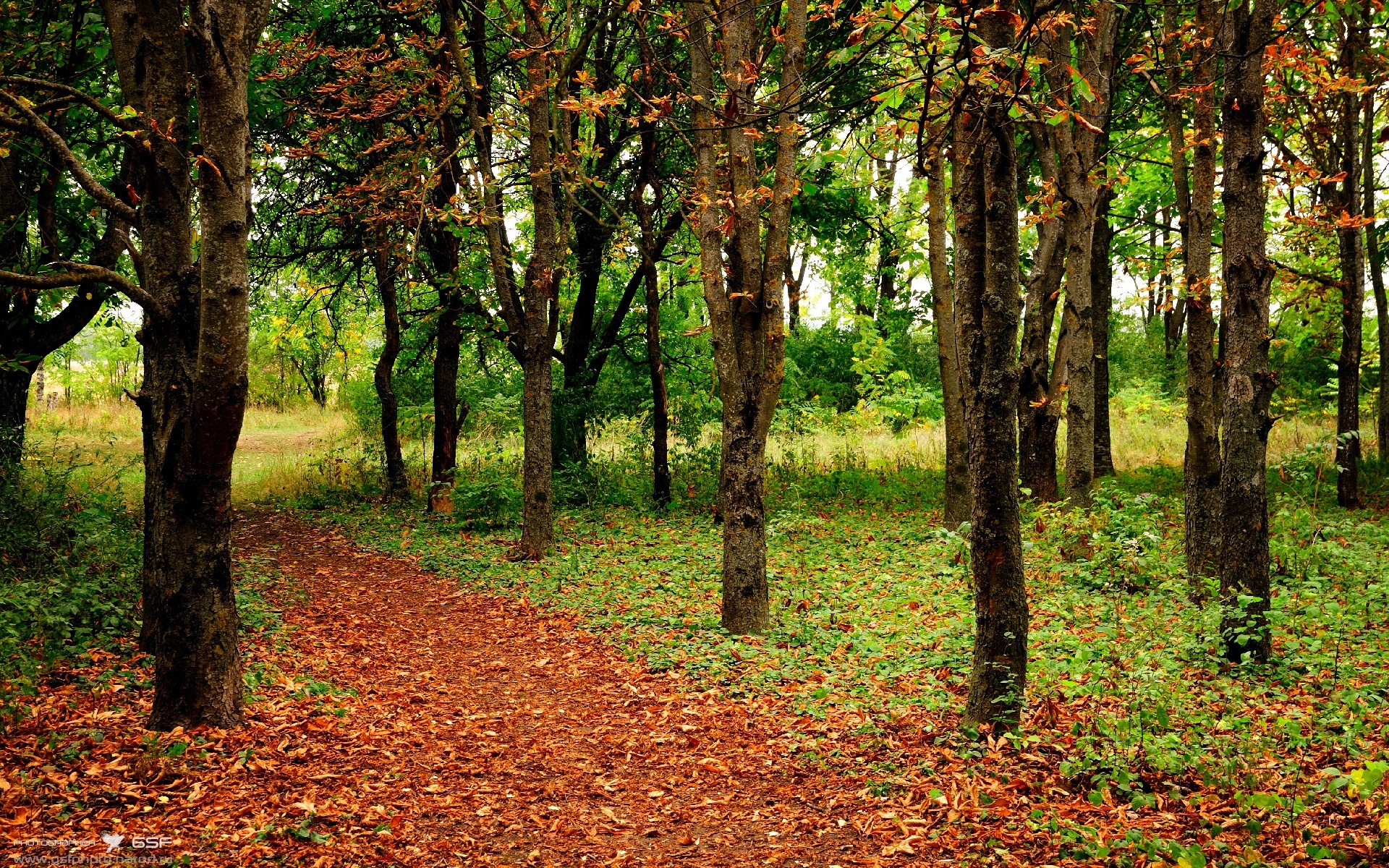 赛季中教练战术变革后场均进球变化趋势，教练技术犯规几次下场