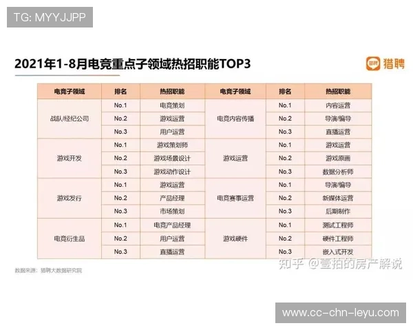 电竞战队的运营管理：人才培养与资源整合，电竞战队都有什么职位