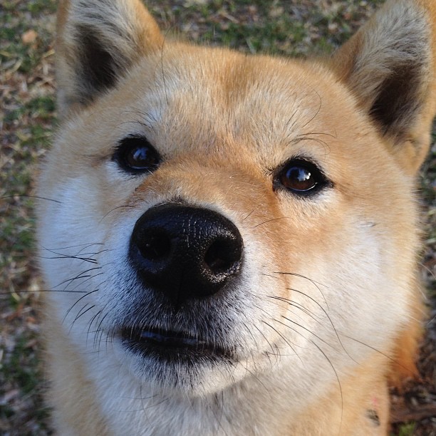 “高新区全民健身馆：短柄墙球选手智慧与体力的双重决斗，见证全新竞技风采”