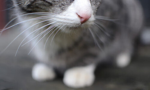 体测系统全国联网数据实现统一监管，体测网站查询系统